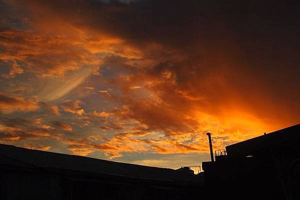 P8227904.JPG