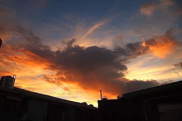 P8227917.JPG