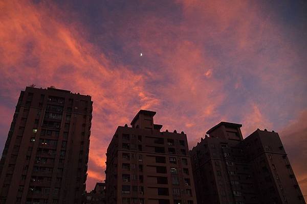 P8227933.JPG