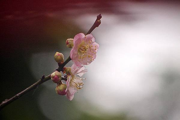 P2268769.JPG
