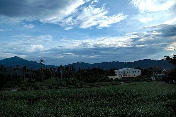 竹山之旅 146.JPG