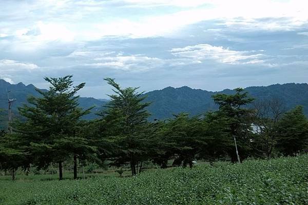 竹山之旅 156.JPG