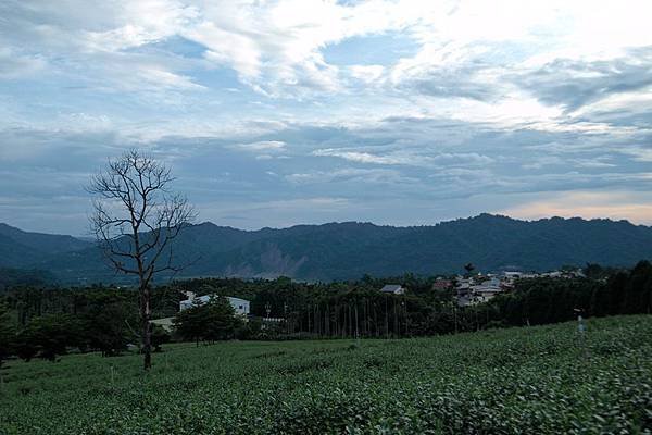 竹山之旅 181.JPG