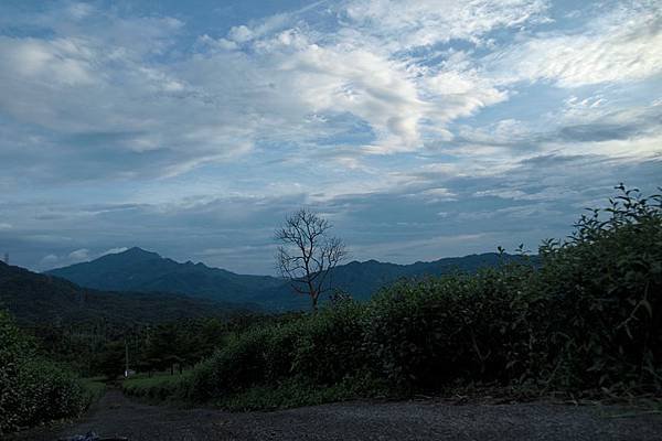 竹山之旅 183.JPG