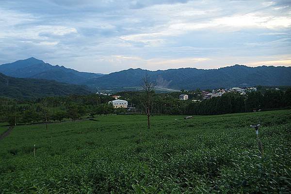 竹山之旅 255.JPG