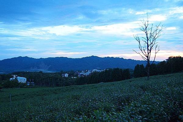 竹山之旅 292.JPG