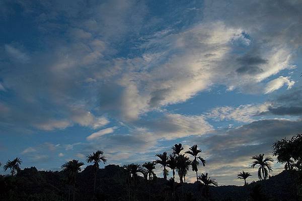 竹山之旅 372.JPG