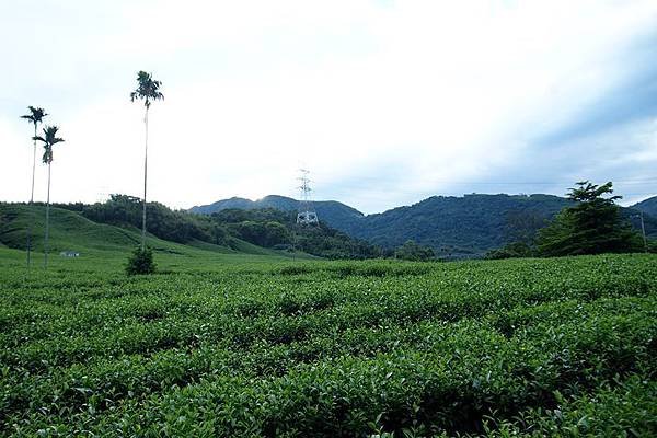 竹山之旅 422.JPG