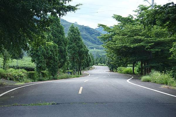 竹山之旅 477.JPG