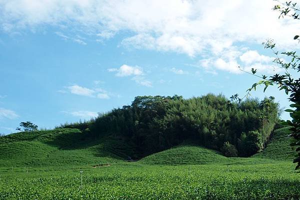 竹山之旅 522.JPG