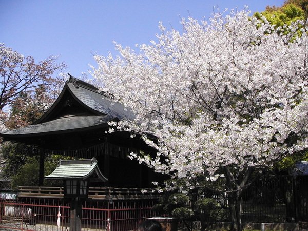 上野恩賜公園