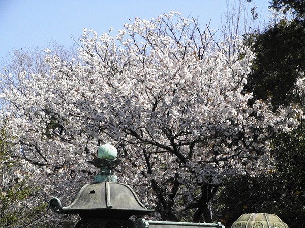 上野恩賜公園