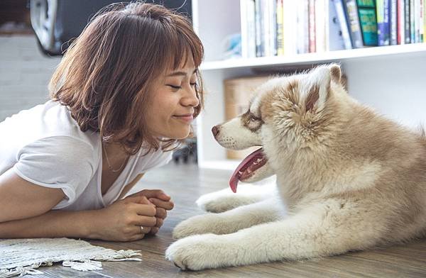 寵物飼料零食推薦