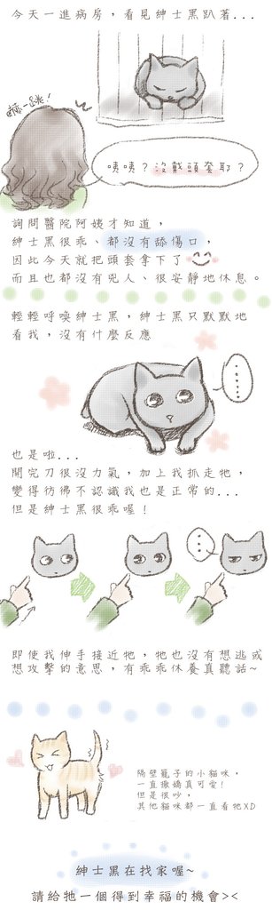 20110116_紳士黑1.jpg