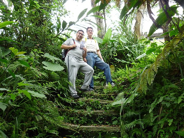 P1000786.JPG