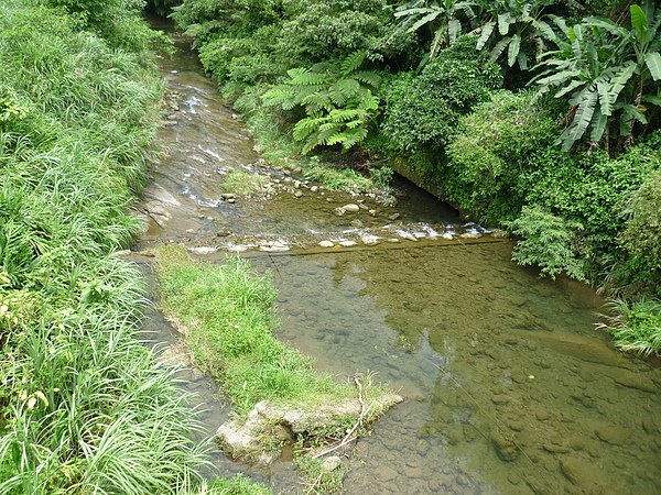 P1000813.JPG