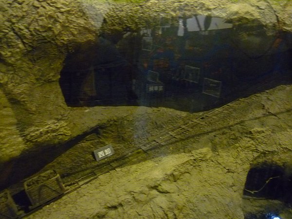 P1000847.JPG