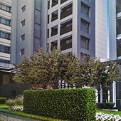 中庭示意圖