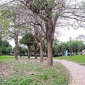 5614753_1_f