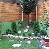IMAG0642