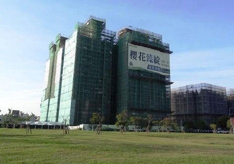 櫻花臻綻1