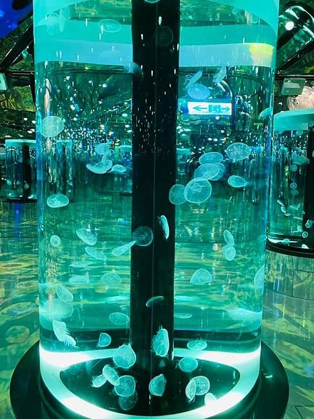 桃園xpark-2021q.jpg