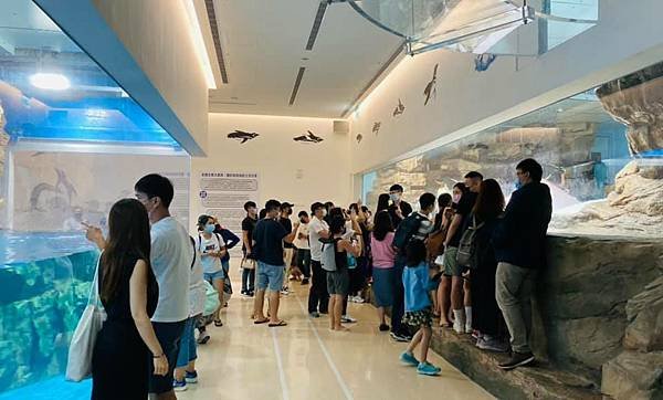 桃園xpark-2021ua.jpg