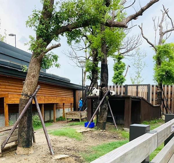 桃園xpark-2021ze.jpg