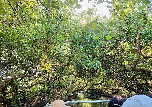 四草隧道-2021l.jpg