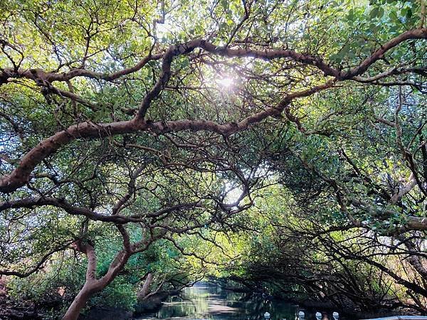 四草隧道-2021o.jpg