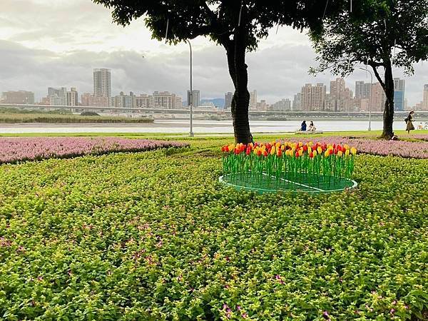 大稻埕碼頭-2022q.jpg