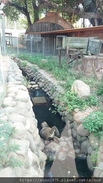 DSC_3891.JPG