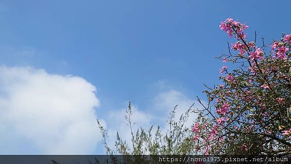 DSC_4619.JPG