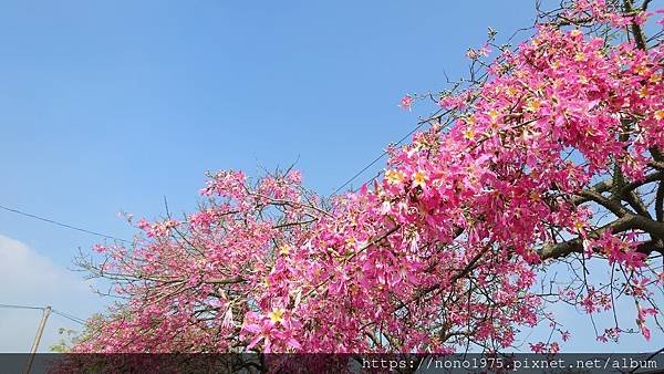 DSC_4654.JPG