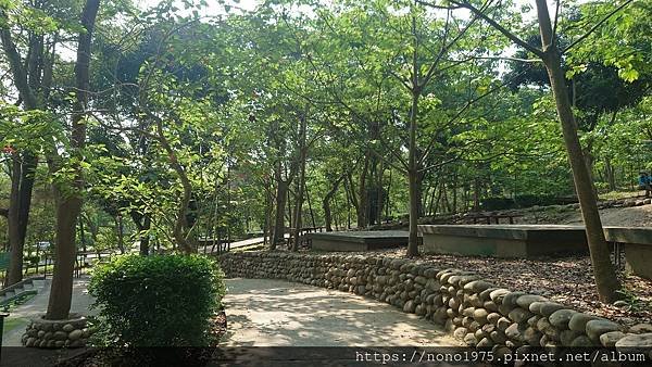 雲林古坑~荷苞山桐花公園(20230501)