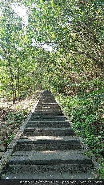 雲林古坑~荷苞山桐花公園(20230501)