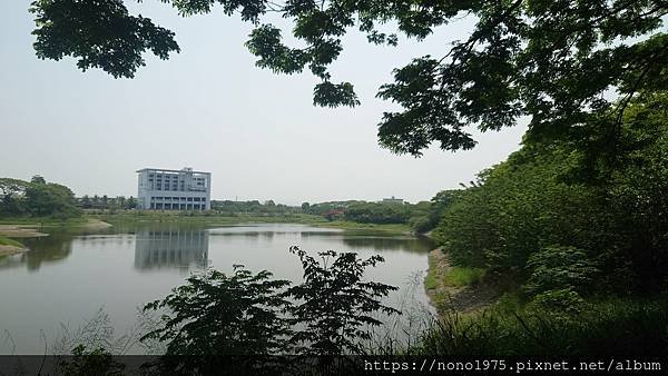 雲林斗六~紫藤湖/環湖步道/心型湖(20230501)