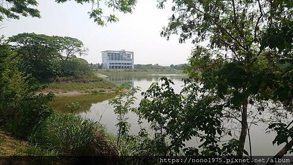 雲林斗六~紫藤湖/環湖步道/心型湖(20230501)