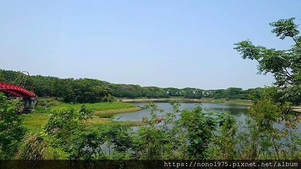 雲林斗六~紫藤湖/環湖步道/心型湖(20230501)