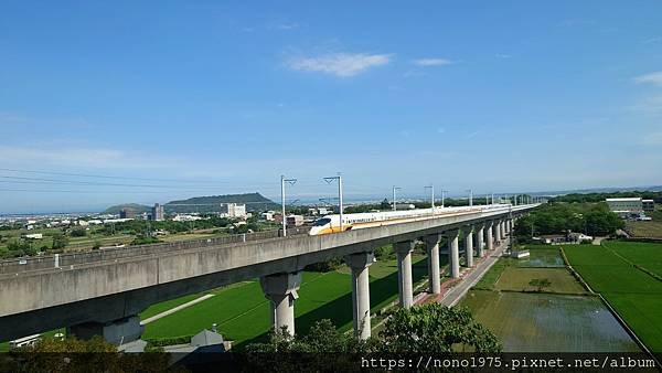 台中外埔～水流東桐花步道/高鐵觀景台
