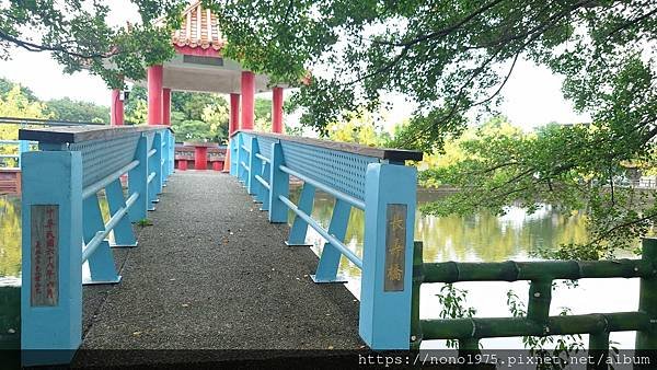 嘉義大林～中林湖\阿勃勒