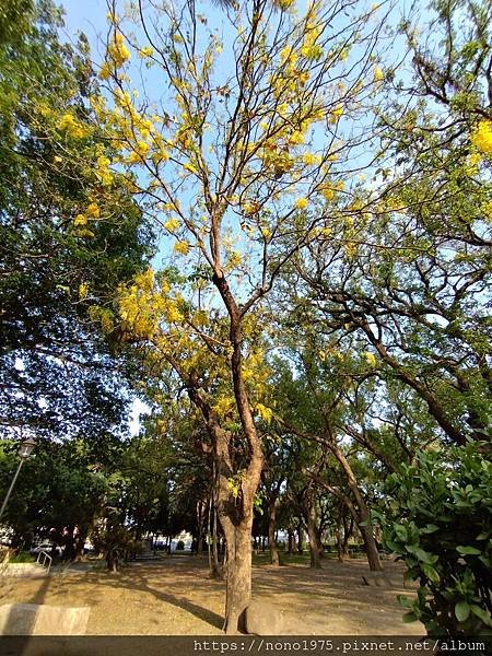 雲林虎尾～同心公園