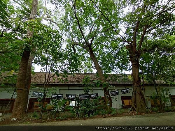 彰化市~彰化生活美學館&amp;彰化天后宮(20240601)