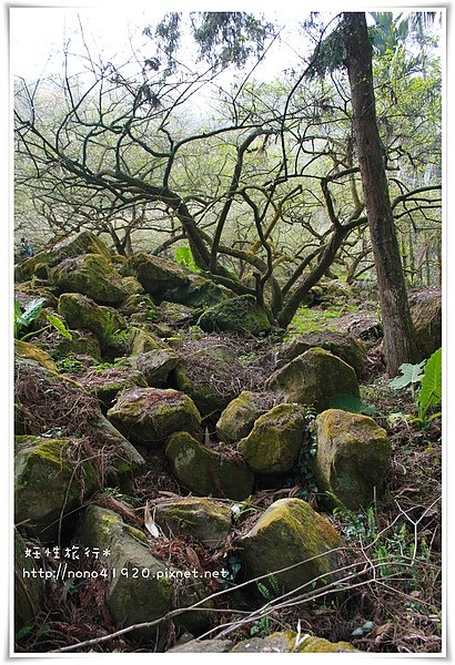 image 179-2.jpg
