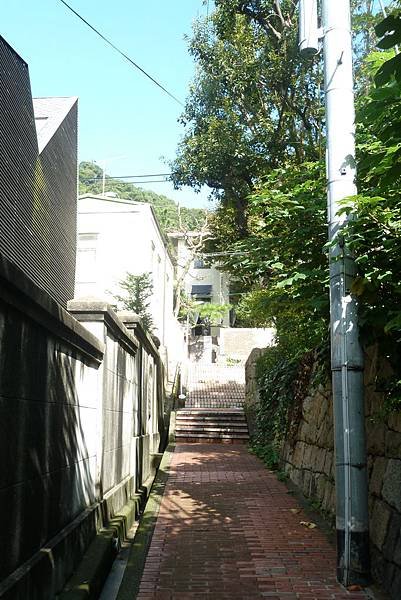 P1110674.JPG