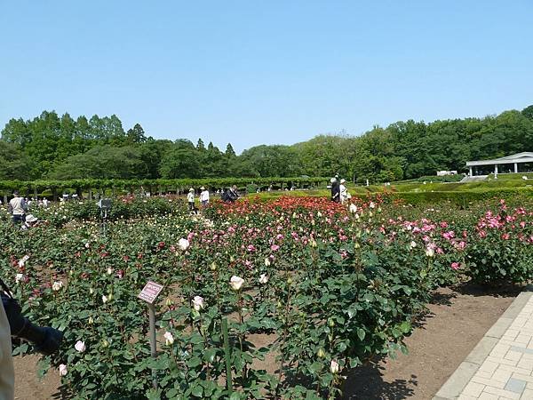 P1080910