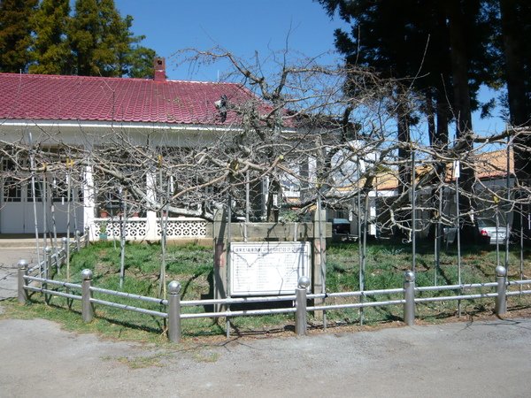 P1040813.JPG