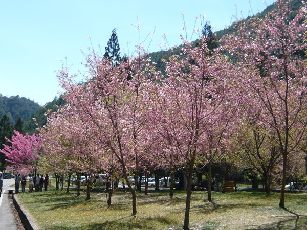 P1040862.JPG