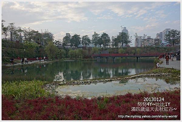 04-1020124老樹根&amp;秋紅谷173