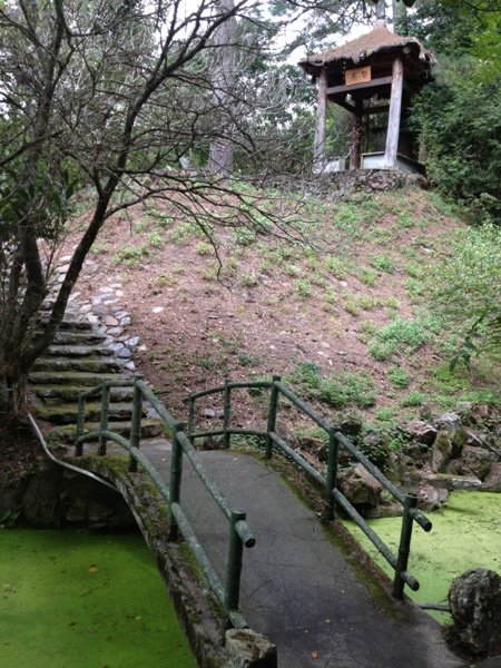 武陵-南谷步道